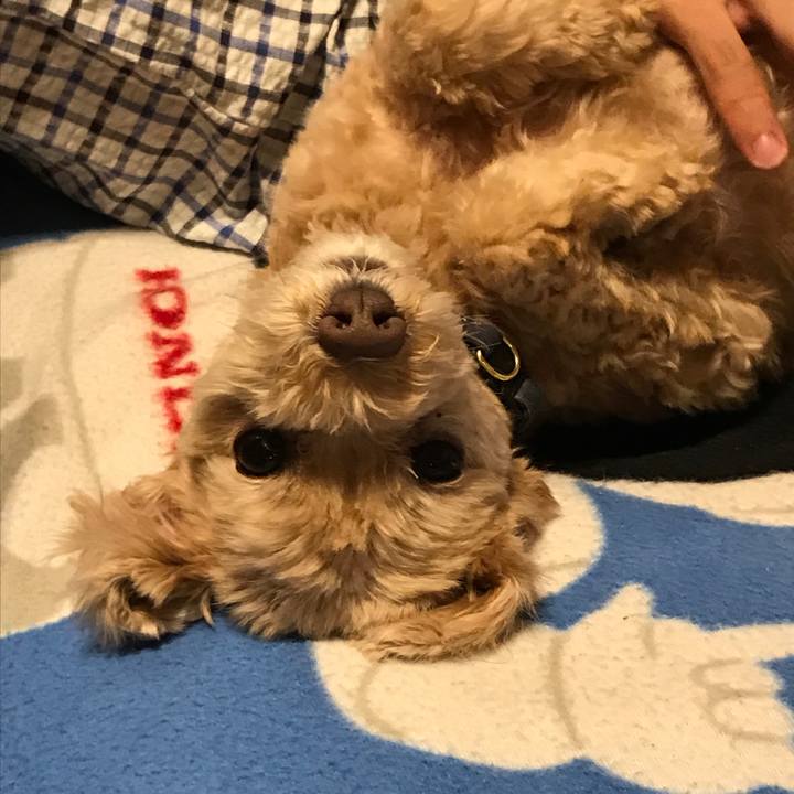 Eb368fce 1060 4381 b50e 4d12151d84c2