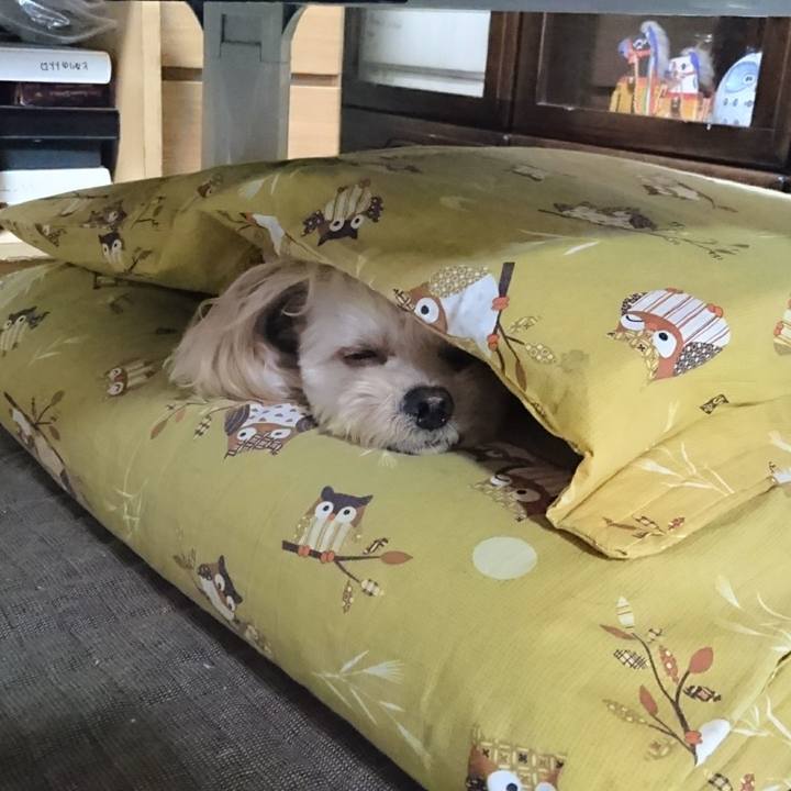 Eb375a3d 8fa7 4064 9ba4 93e9f1c81fc8