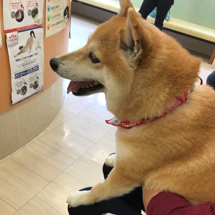 Eb3762e5 252e 4620 853d ed2f320c0ab9