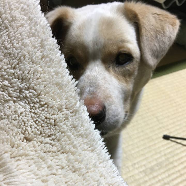 Eb3789a1 eebd 46a6 b9ab 6867fd1c3853