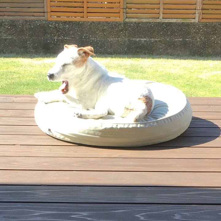 Eb379598 b088 4ae5 9a6b a49d7fa31781