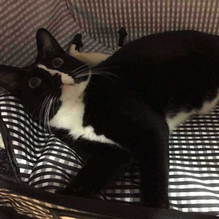 Eb37b87d 1166 45f4 95a8 ceac58d8f260