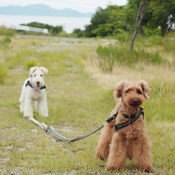 Eb380042 700d 4c31 9728 607c4effdfd1