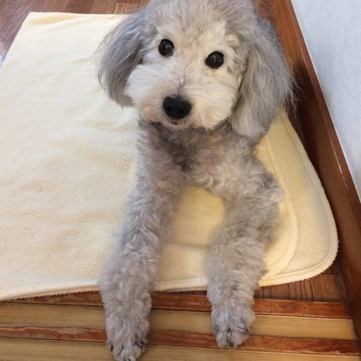 Eb3863b9 d9ec 4969 90e1 d101328c895e