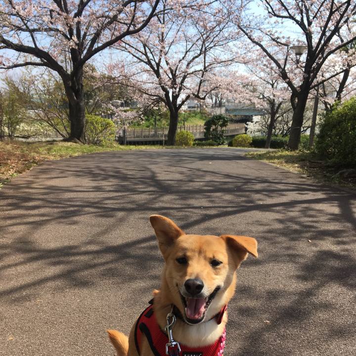 Eb386698 8c92 462f 8ca6 9a484c544916