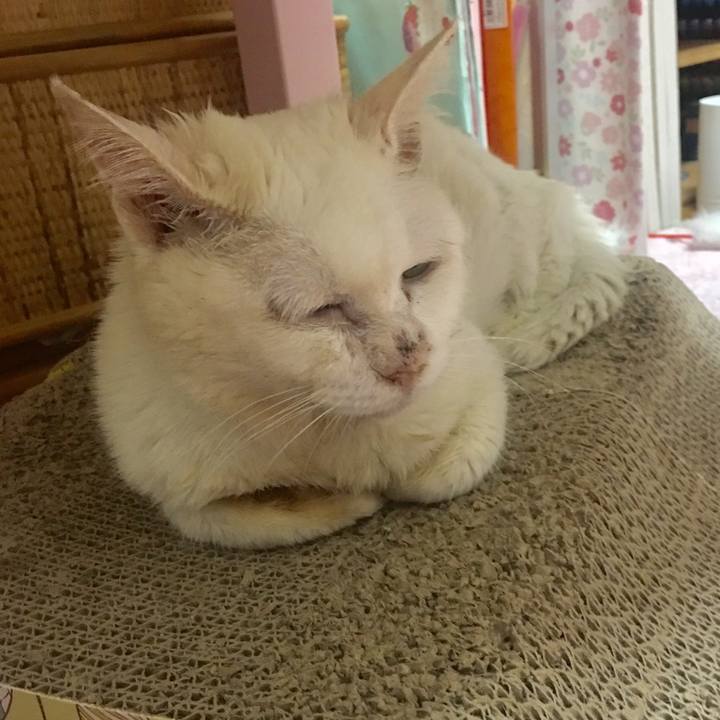 Eb391444 4255 4faa bdba 3b39a51dfdfe