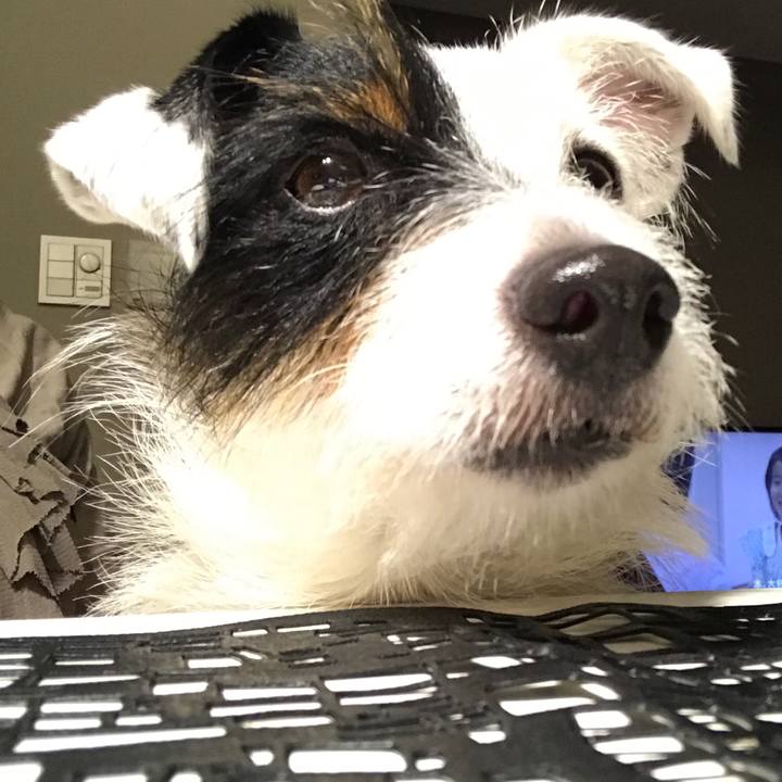 Eb397885 ce29 483b b041 cb1569da6ff1