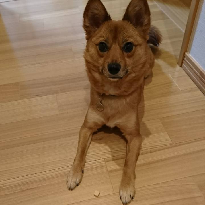 Eb39a9e6 12e8 4dc1 9dff b5e08122cfdb