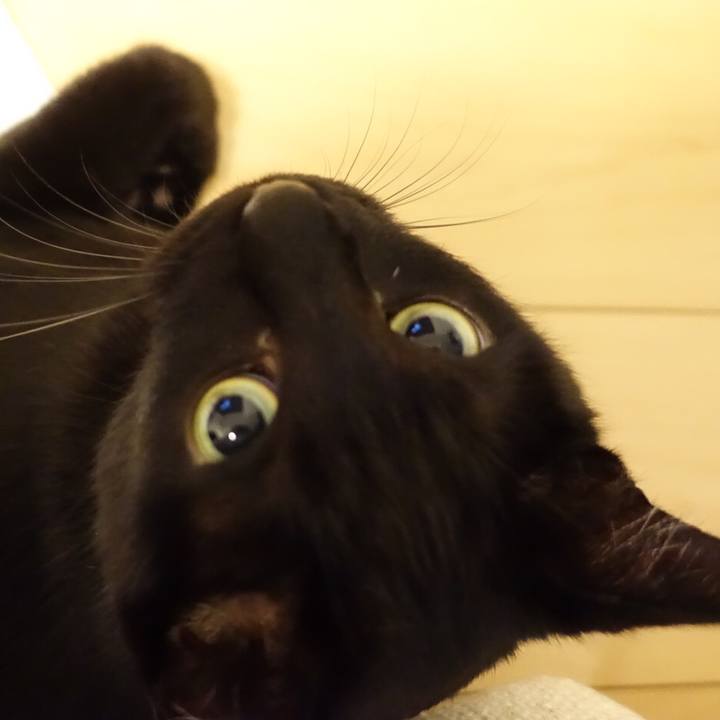 Eb39be3d 1214 43a4 a818 4be534715b18