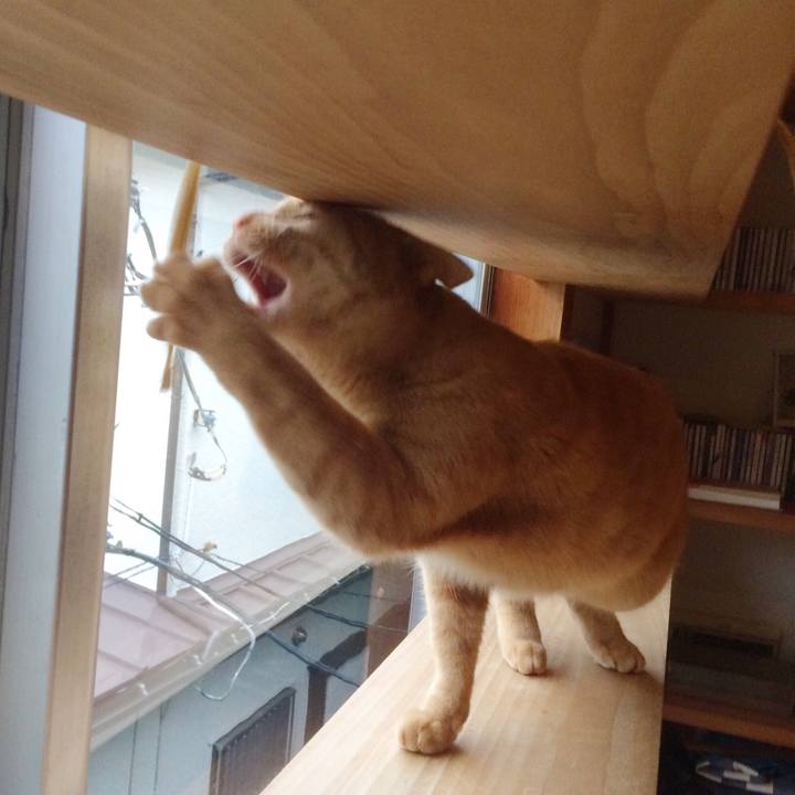 Eb39dafc 11a5 4fa8 bd63 a946760a169c