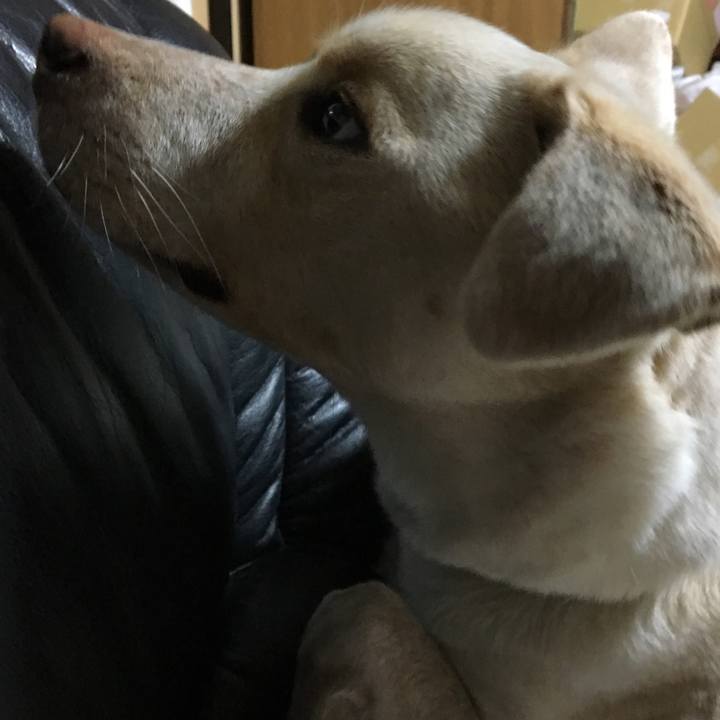 Eb3a35aa 899c 44a7 a542 d0adb610f204