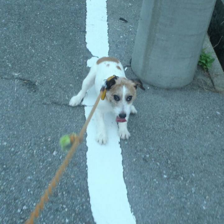 Eb3a36a6 6792 4446 8257 8a3b399ad38c