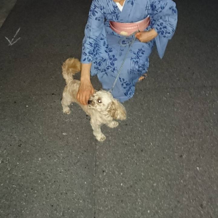 Eb3a47ce d0d4 40f3 8424 5b484cf2623c