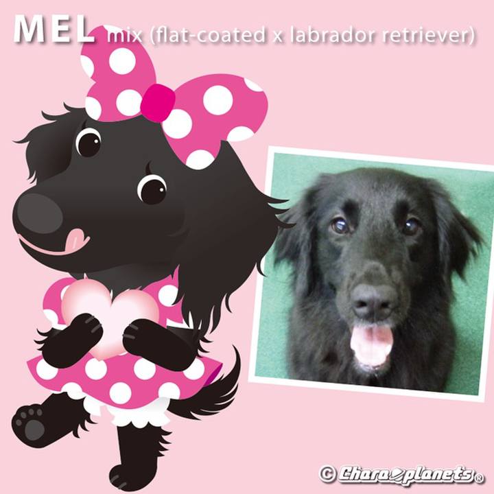 Eb3a86e3 0e29 4f0d ac9e 2467aedf9dbf