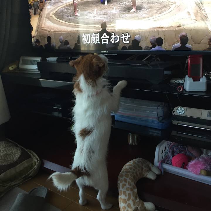 Eb3ac98f a3bc 45c4 be4c 29dcf7cb070e