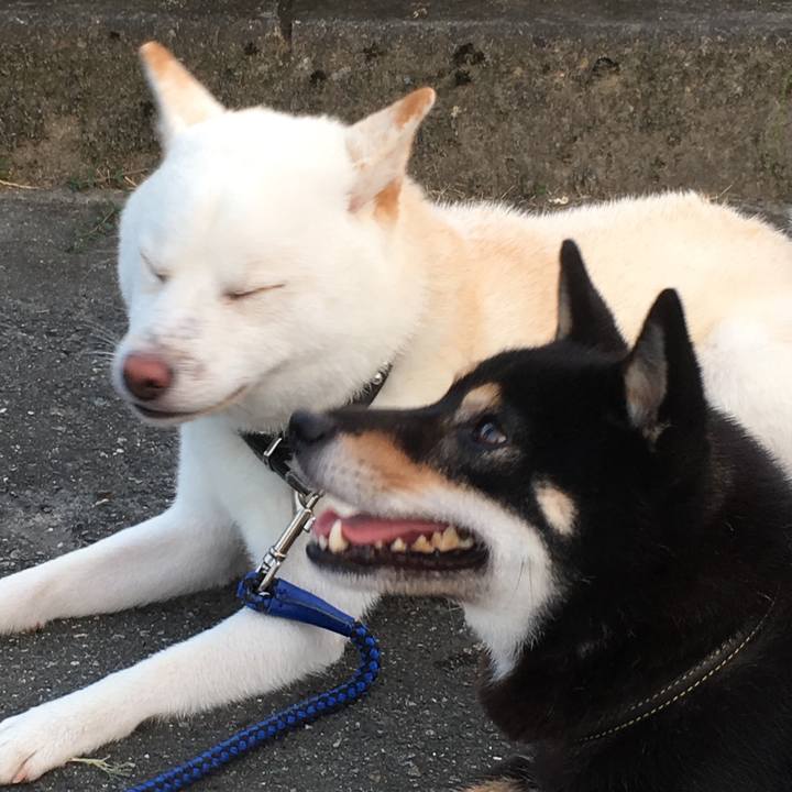 Eb3b12c3 0f12 415c ab4c cf2c966e0d02