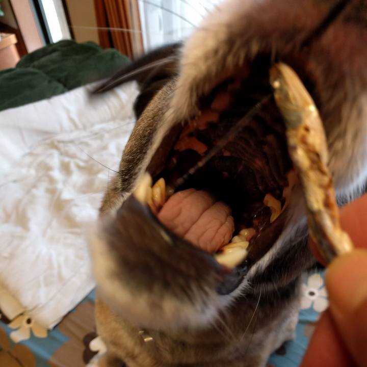 Eb3b6114 d607 480b 9c55 fdb28ee52899