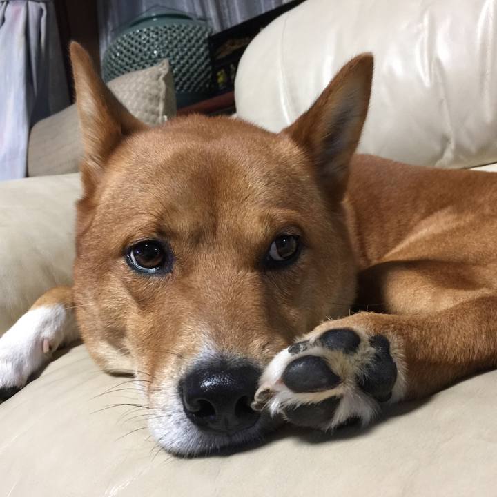 Eb3ca612 99e0 4f91 b6df fb994855fd8e