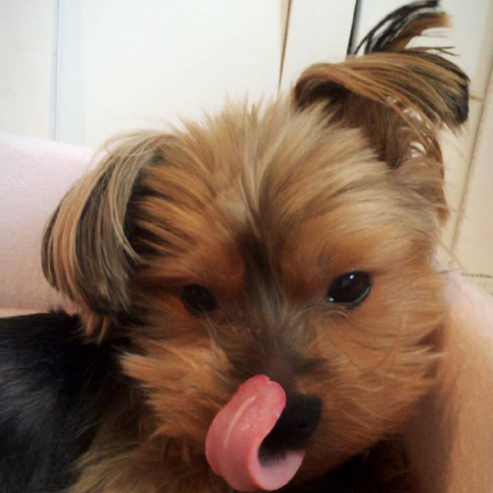 Eb3d4fcc 0262 4715 ae8f 032926188032