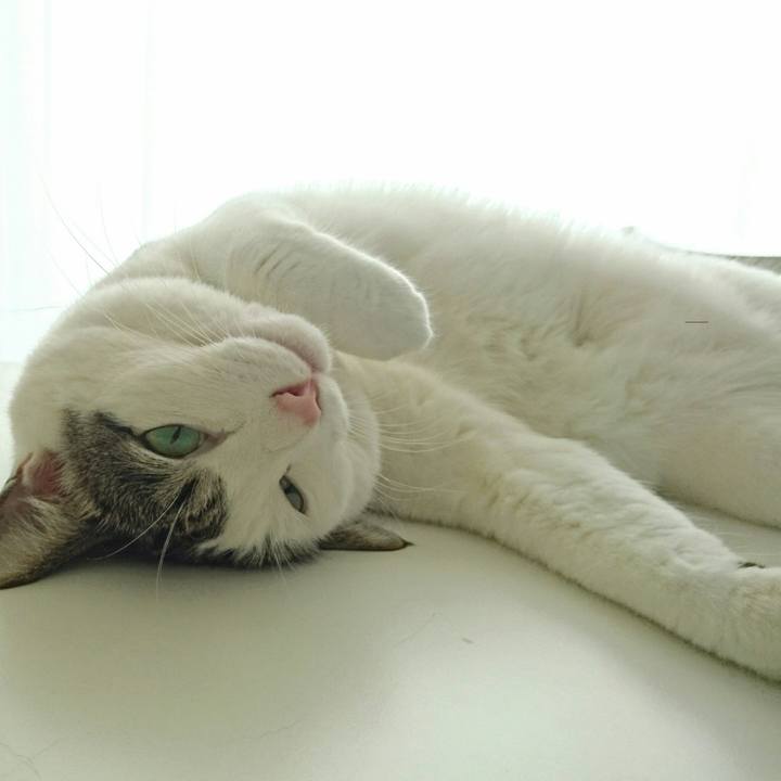 Eb3de0e4 8479 4f8f 816c 4f46249e69c9