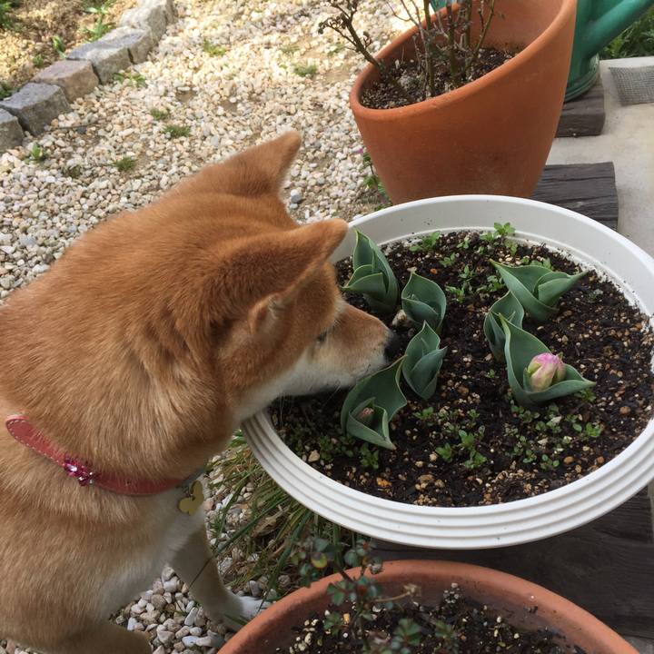 Eb3df94b 2f39 4062 bc64 d84c922bd08d