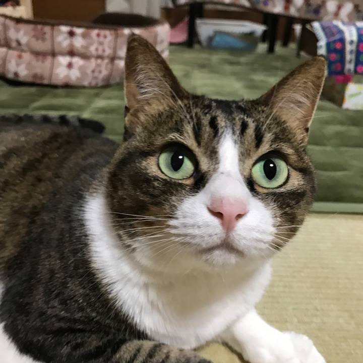 Eb3e018c de45 4c95 937c d91b5b171318