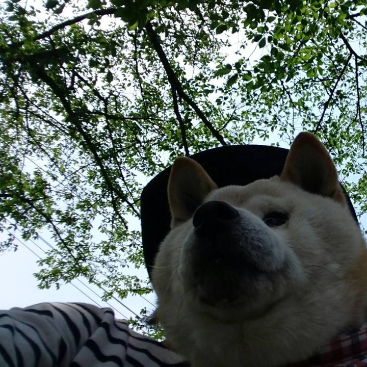 Eb3eadfb d9d5 4bab bf68 d1c6fd06eec2