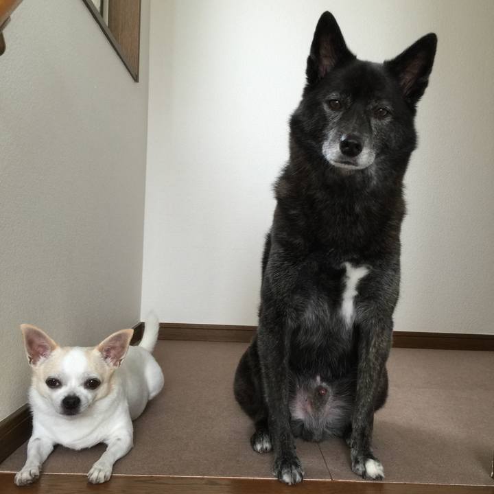 Eb3f4229 7e5e 4054 8c0b fa49a288e5ae