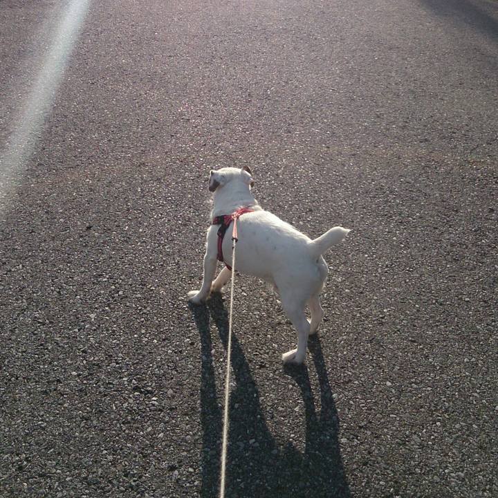 Eb3f54fd 4a56 448f 9736 f92abde0df95