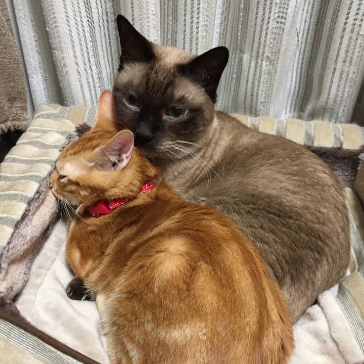 Eb3f9467 4865 438e 9063 3aa5e674779b