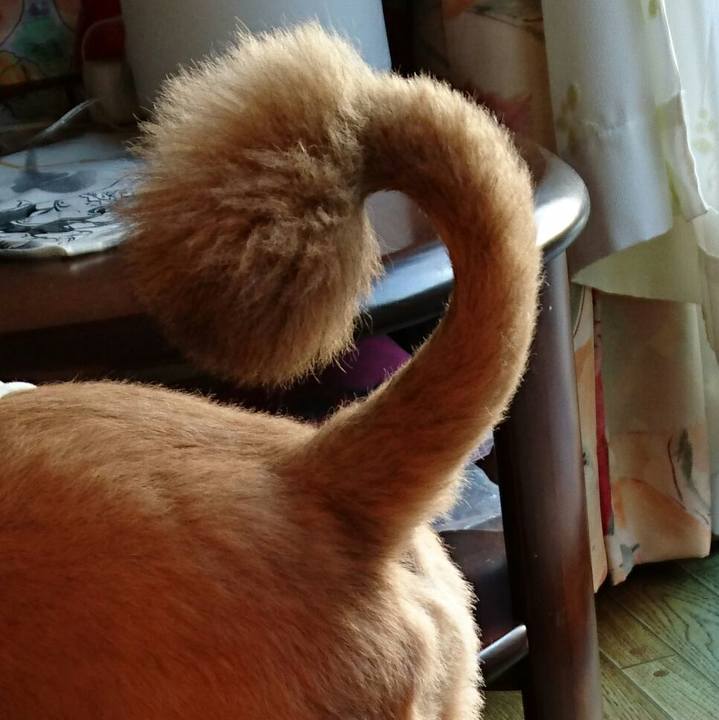 Eb3fce68 f790 4a33 bb38 7a7f1de47bd6