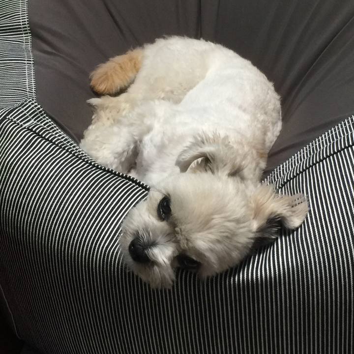 Eb4014de 09b9 4fd7 8d6b e0fb03605c5d