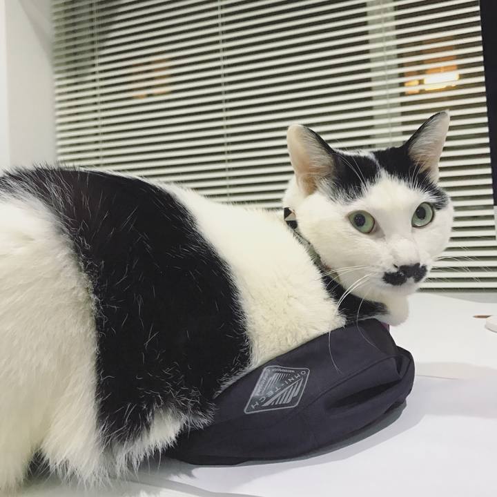 Eb401b4e a704 4280 8a23 3edd61af8e98