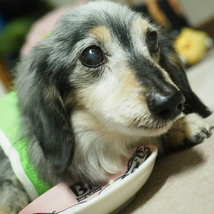 Eb40f180 ec01 4514 8142 78aba5c67efd