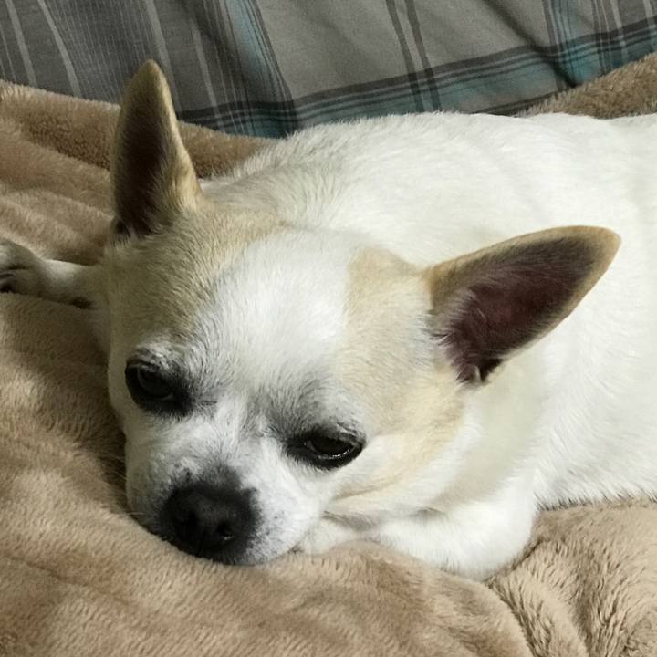 Eb410d6e 8d44 4249 a90e 9fda275bcaed