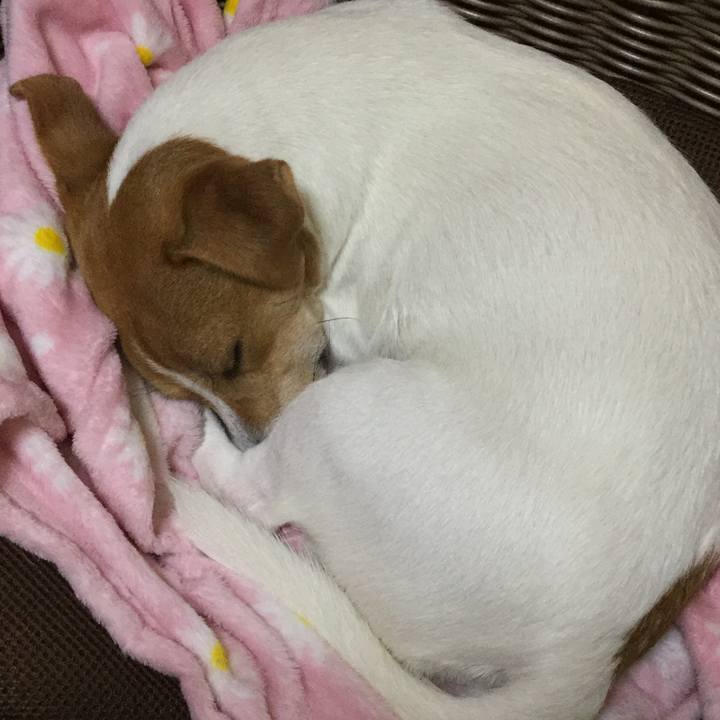 Eb415243 b564 4ebe bf0a bfcdf912a6c6