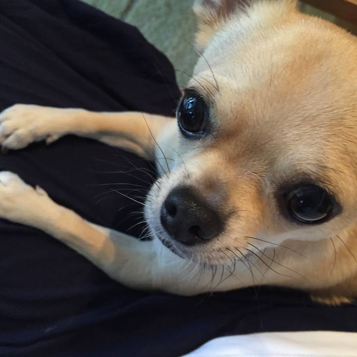 Eb41aac7 4daf 4fe5 b177 94e8a40cc9fe