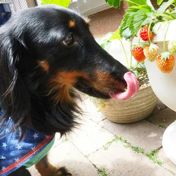 Eb421c2f 93ff 445c 827a 7c5bf9ba4aaf