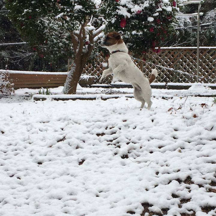 Eb42c364 d334 4cfe b42b b6141d1f41f2