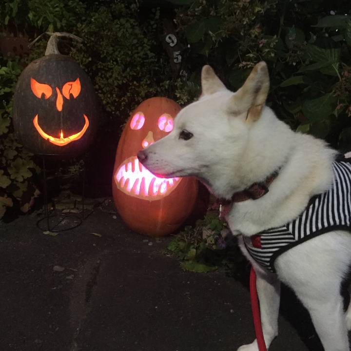 Eb430369 f464 4eb8 83b3 4315b381139a