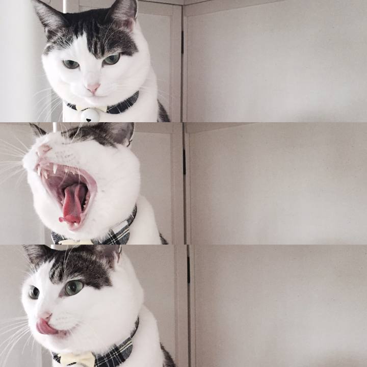 Eb44cadf 4d7f 4b96 be4f ac97def2d87f