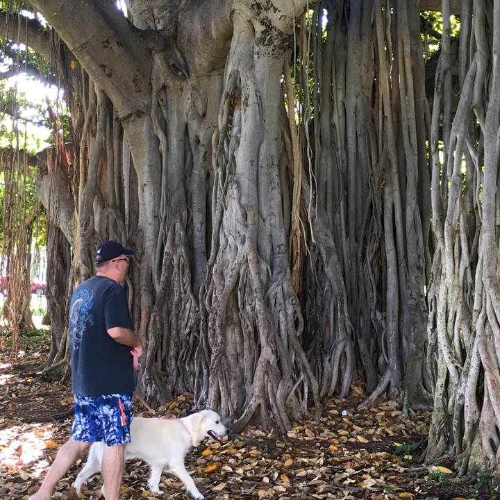 Eb45503c f8b6 4188 9b18 bd8cb963756b