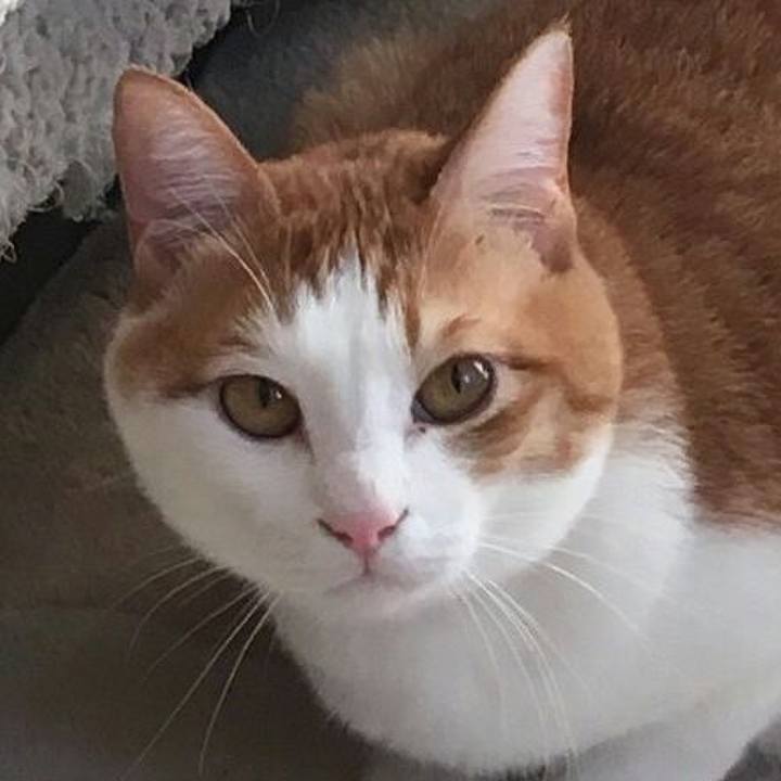 Eb4557f5 71e7 489b aef0 793adbe9baa7