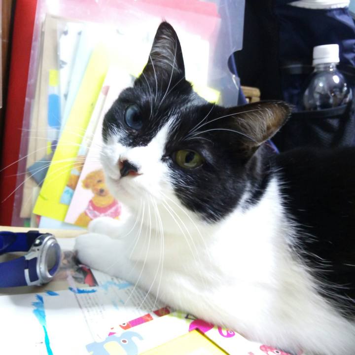 Eb460691 3f5c 4c65 83ac 1c4343e5d702