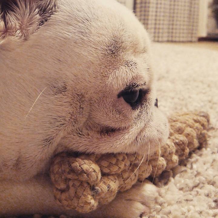 Eb4674e3 5740 467d a1d4 8902087a4046