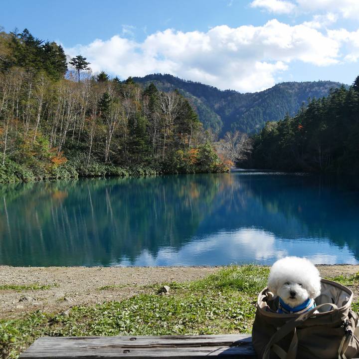 Eb4696d5 0b79 496e 953f 07d1ccb8fb7a