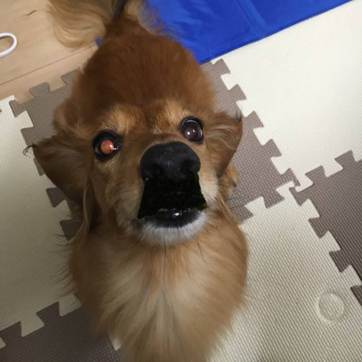 Eb46eccf c1a0 442e add6 682eece0d3bc