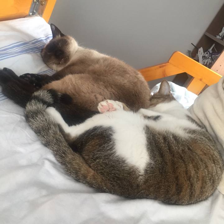 Eb47291b 1e4f 4c08 b3e1 1f820d7a0b10