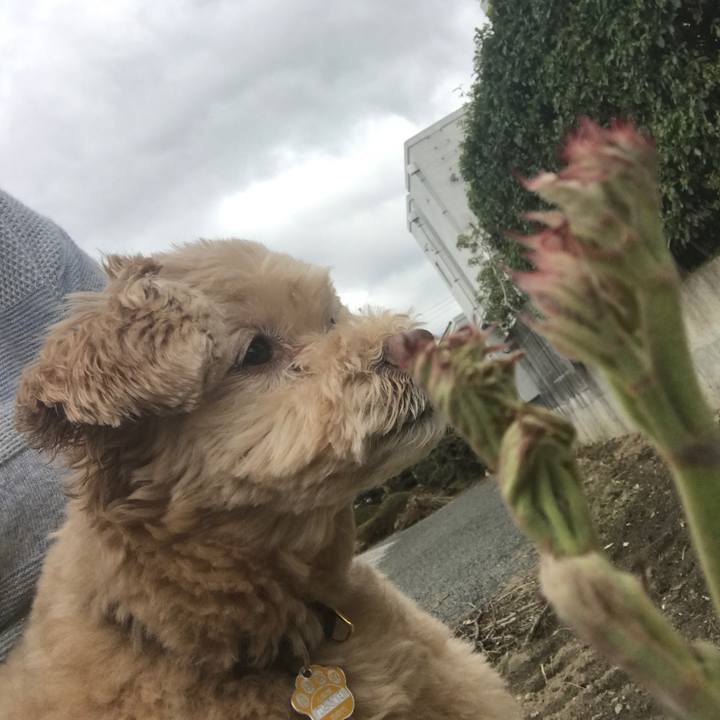 Eb47ee32 fab2 423c 9311 a26fbed5a19d