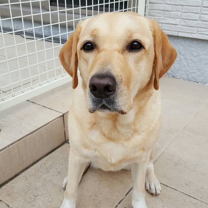 Eb47fd9b e56f 4695 8ef7 264abbc3923a